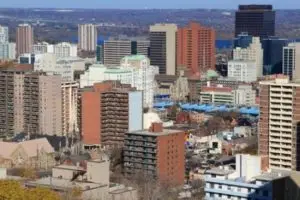 hamilton translation services