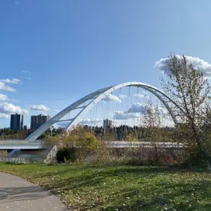 Translation Services Edmonton Image