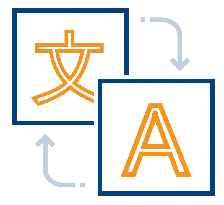 Professional Translation Services