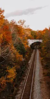 Interpretation Services Halifax Image